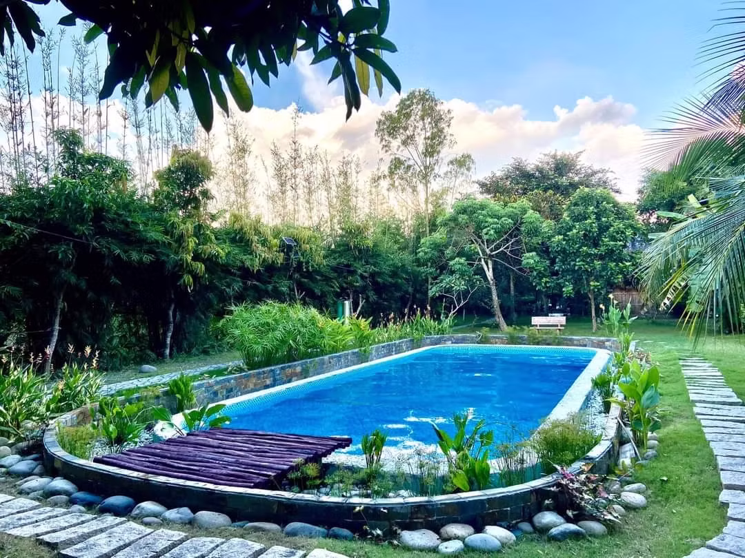 605217_72938602add04820a590115fee8f6c24~mv2