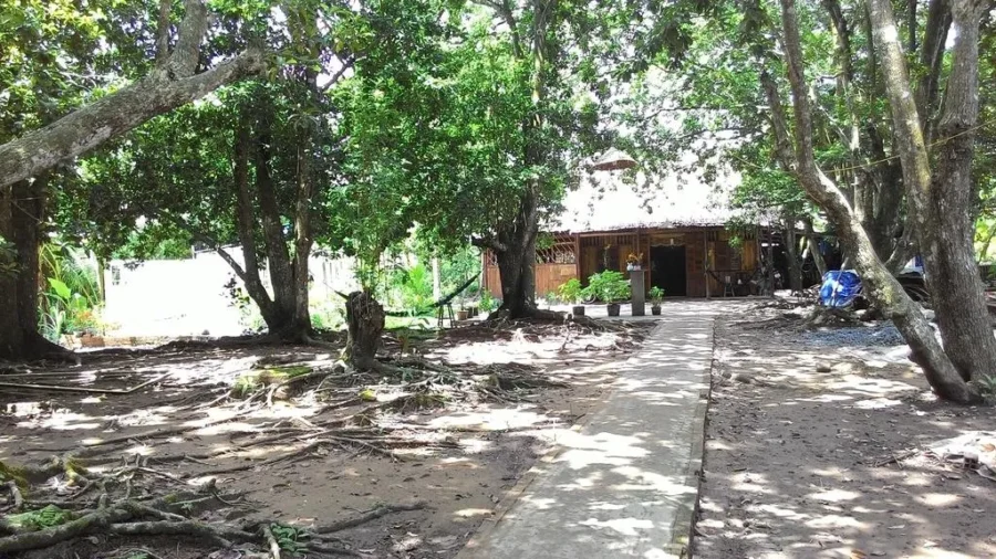 tro-ve-mai-nha-xua-tai-homestay-ut-hien-1