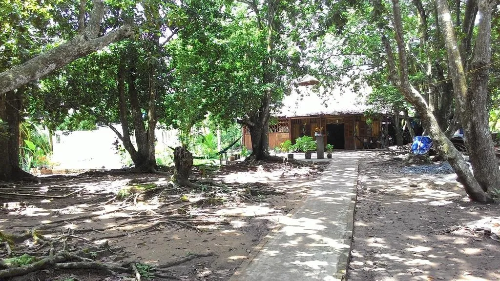 tro-ve-mai-nha-xua-tai-homestay-ut-hien-1